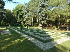 Клумба Клумба